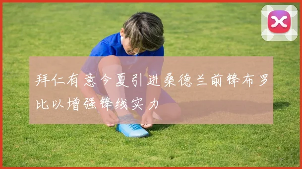 拜仁有意今夏引进桑德兰前锋布罗比以增强锋线实力