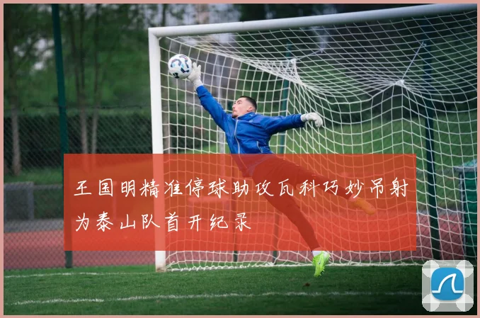 王国明精准停球助攻瓦科巧妙吊射为泰山队首开纪录